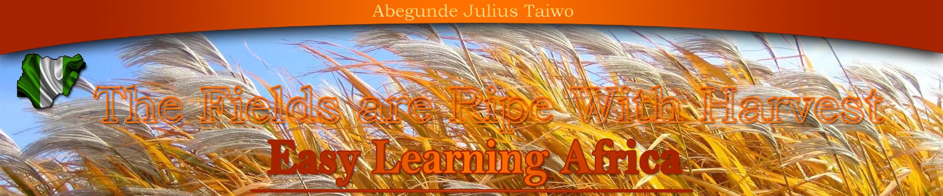 BannerEasyLearningAfrica-06