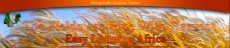 BannerEasyLearningAfrica-06